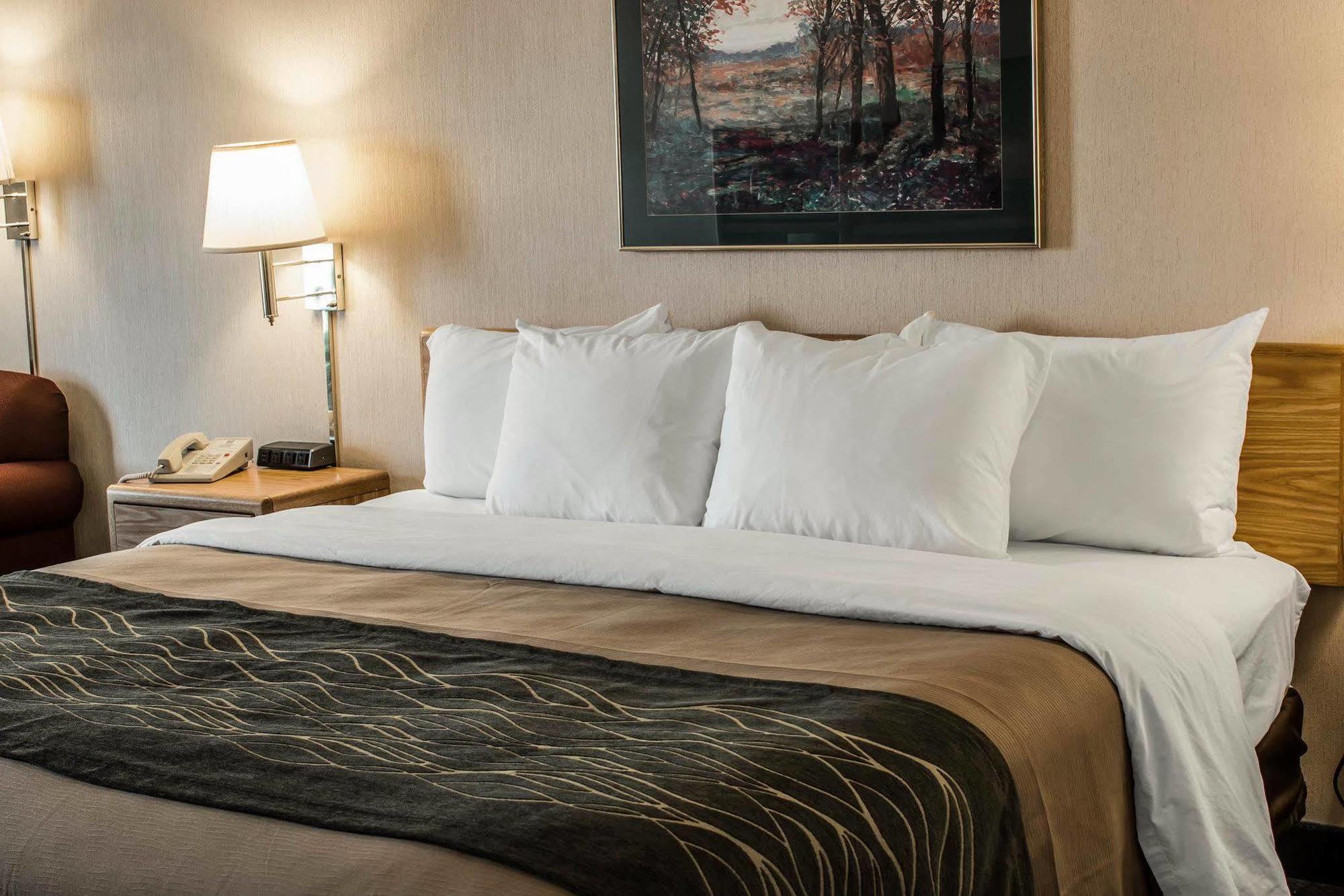 Comfort Inn Charlotte Buitenkant foto